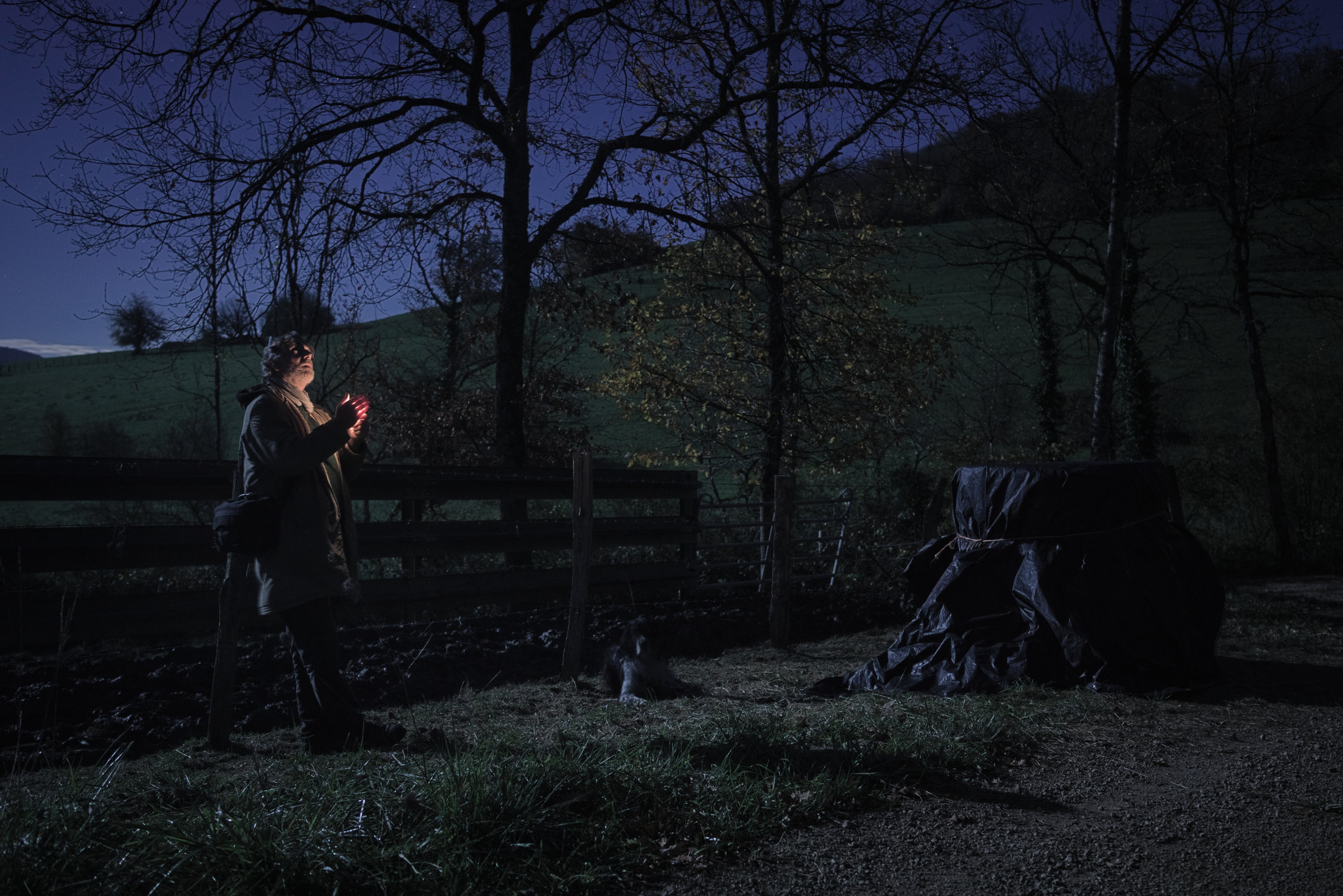 Moonlight Delatour Moonlight Delatour