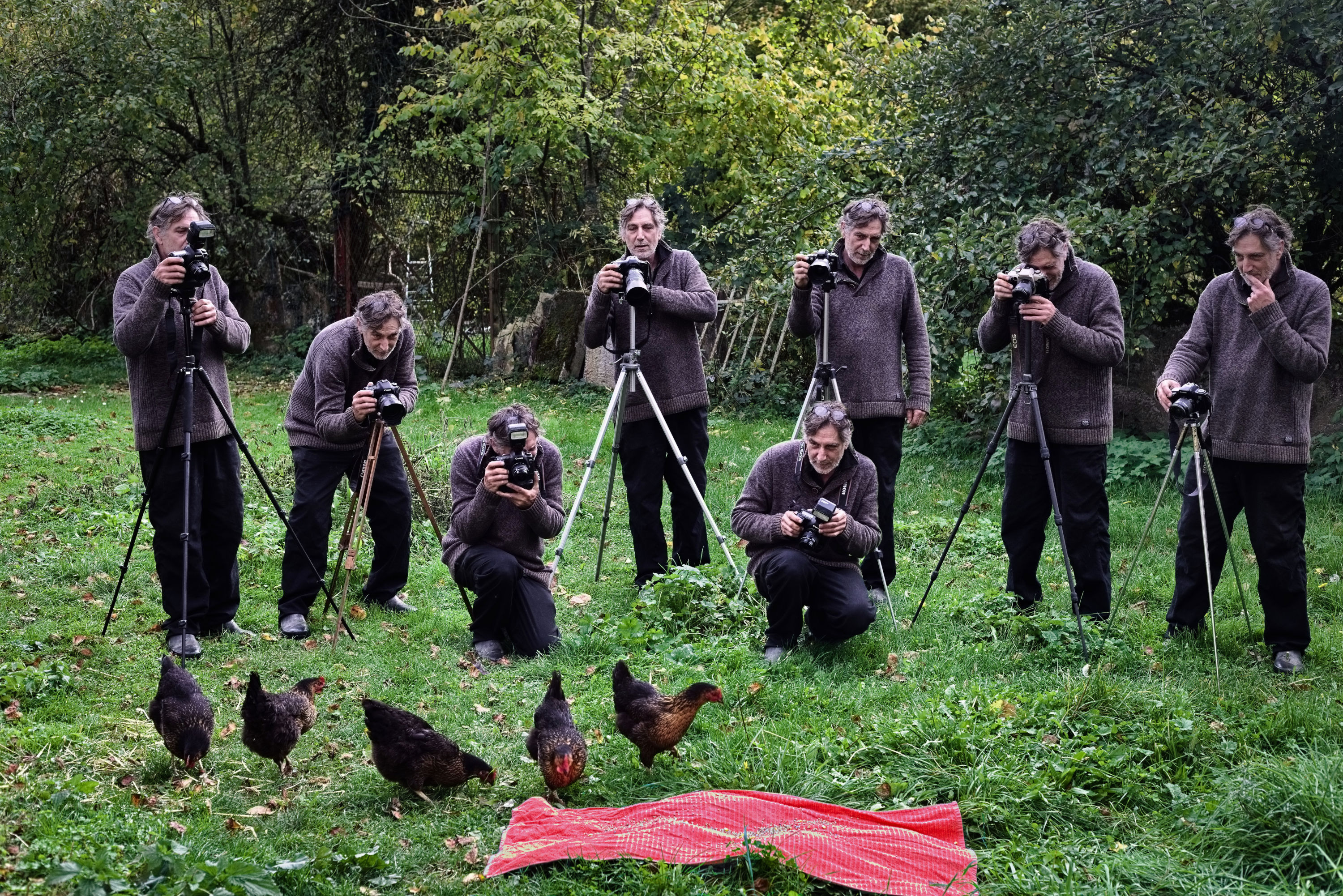 Festival de Poules Festival de Poules